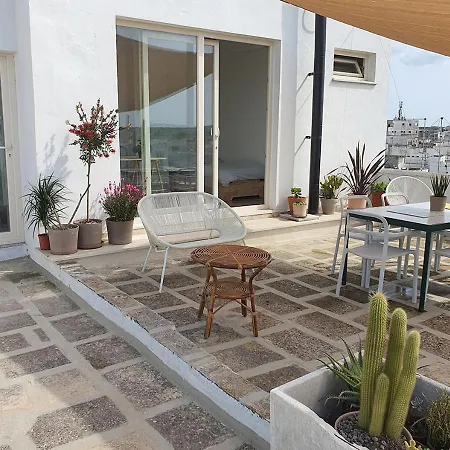 Grande Casa Con Terrazza Al Centro Di * 나르도